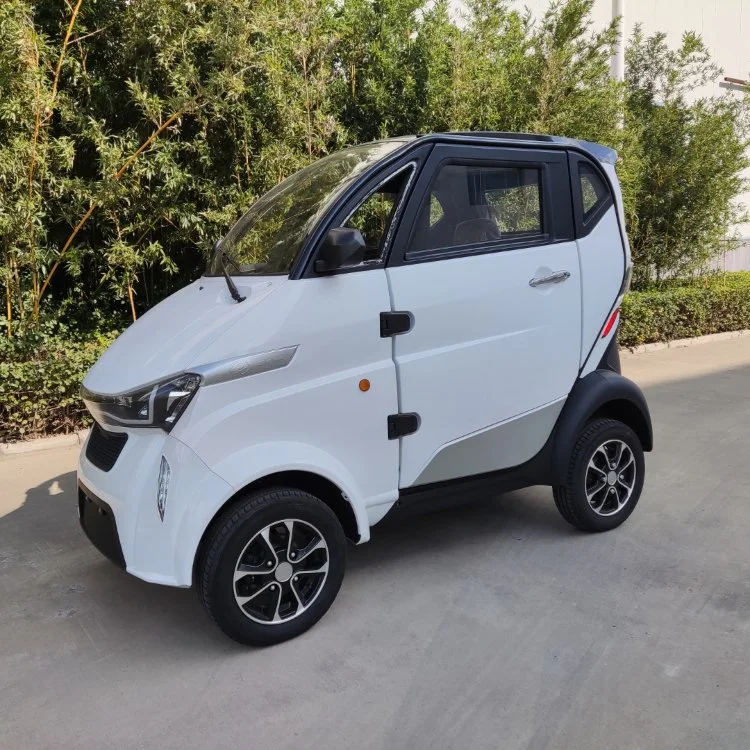 アルミ合金のハブOEMの安全ベルトが付いている再充電可能なリチウム電池のCheap ElectricヴァンVehicle Cargoトラック