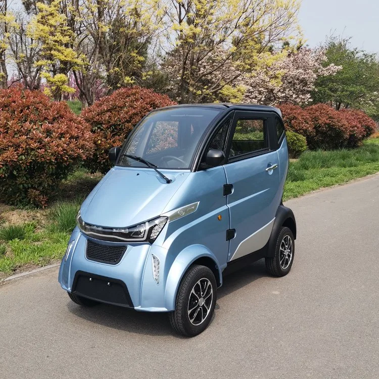 アルミ合金のハブOEMの安全ベルトが付いている再充電可能なリチウム電池のCheap ElectricヴァンVehicle Cargoトラック