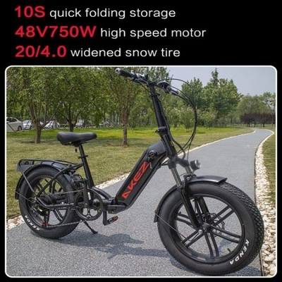 60kmのアルミ合金21の速度の電気バイクの二重ディスク ブレーキ