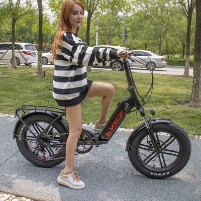 60kmのアルミ合金21の速度の電気バイクの二重ディスク ブレーキ