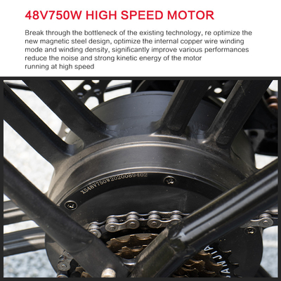 柔らかい尾フレーム40Km/Hのマグネシウムの合金30-50Km/Hの電気自転車